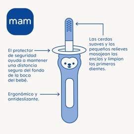 MAM Zahnfleischmassagebürste für Babys, zur Linderung und Reinigung von Ausschlag der ersten Zähne, mit Sicherheitsschutz, ergonomischer und rutschfester Griff, neutral, 1 Stück