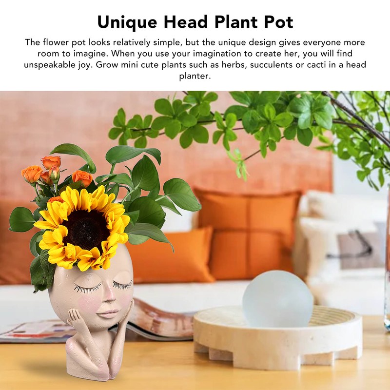 Unique Head Plant Pot with Drainage Hole Resin DIY Face