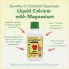 CHILDLIFE ESSENTIALS CHILDLIFE ESSENTIALS Liquid Calcium Supplement for Kids -
