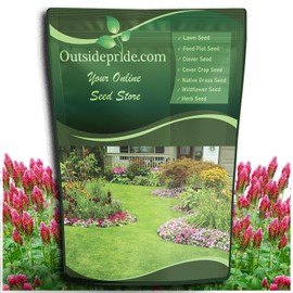 Outsidepride Crimson Clover Seeds - 40 lbs. Annual, Nitrocoated, & Inoculated Ground Cover Seeds, Ideal Clover Seed for Lawn, Cover Crop, Pasture, Hay, Green Manure & Wildlife Forage