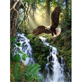 Meecaa Paint by Numbers Eagle Jungle Tree Landscape Kit for Adults Beginner DIY Oil Painting 16x20 inch (Eagle, No Frame)
