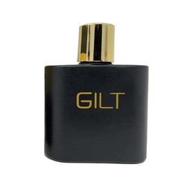 Gilt Aromatic Fougere fragrance for Men Eua de Parfum 3.4 Fl. Oz