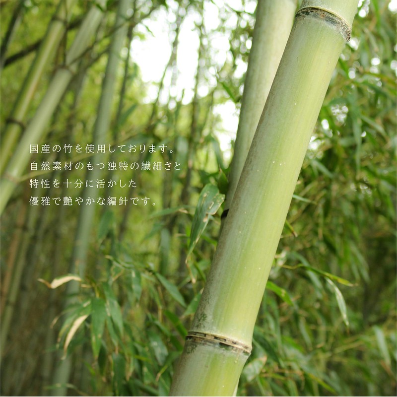 Seeknit Natural 3 Bamboo Jump Needles with Grooves