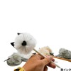 Maydahui Cute Stuffed Animal Cat Cat Ballpoint Pen Set of