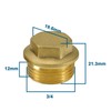 eMagTech 2pcs 3/4" BSP Male Thread Blanking Plug Pipe End
