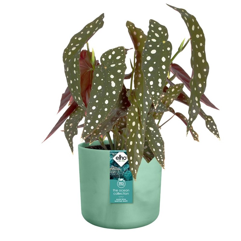 elho The Ocean Collection Round 18cm - Flower Pot Indoor