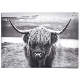 REINDERS Giant Poster XXL, Highlander Cow Strong, Living Room, Horns, Decorative Aesthetic, Pictures, Wall Decoration, Room Decor, Paper, Black/White, 140 x 100 cm