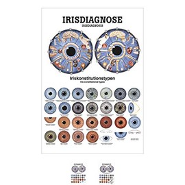 Sport-Tec Iris Diagnosis Mini Poster Anatomy 34 x 24 cm Medical Teaching Aid