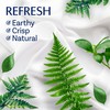 Downy Infusions In-Wash Laundry Scent Booster Beads, REFRESH, Botanical Florals