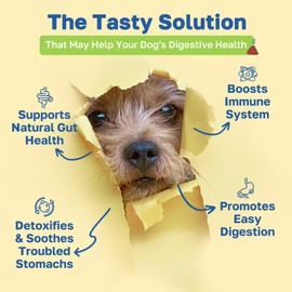 Happy Paws Digestive Health Dog Chews, Gut Health & Digestion Support with Enzymes, Fiber & Probiotics for Dogs, Supplement for Dogs, Natural Ingredients, Pumpkin Flavor, Vegan, 200 Count