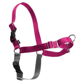 PetSafe Easy Walk Dog Harness - No Pull Dog Harness - Medium/Large, Raspberry