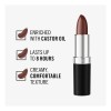 Pintalabios Rimmel Lasting Finish - Hasta 8 Horas De Intensa