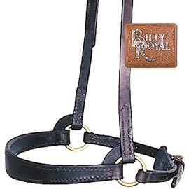 Billy Royal Flared Nose Training CAVESON