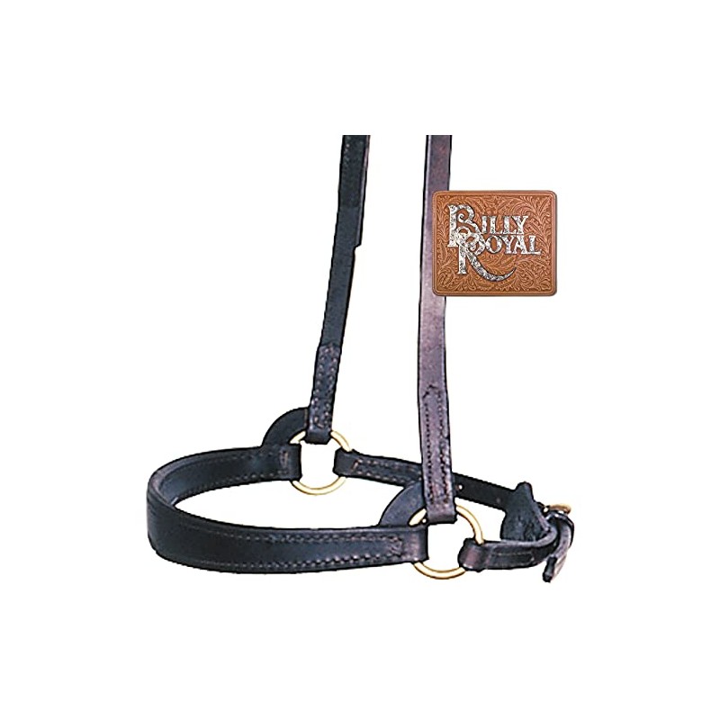 Billy Royal Flared Nose Training CAVESON