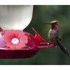 Perky-Pet 135TF “Perky’s Finest” 16 oz Plastic Top Fill Hummingbird