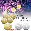 S.fields.inc Tarot Coins Divination Coins Set of 5 12 Constellations