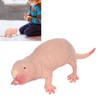 VBESTLIFE Plastic Mole Figure, Plastic Mole Figure, Toy Simulation, Static
