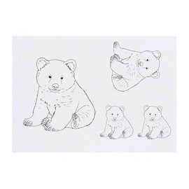 4 x 'Bear Cub Sitting' Temporary Tattoos - Water Resistant, Skin-Safe, Non-Toxic Transfers, Mixed Sizes (TO00084318)