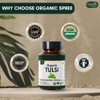 ORGANIC SPREE TULSI 120 Tablets | Holy Basil (Tulsi) |