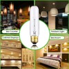 BULBMASTER 25 Watts T10 Tubular Clear Incandescent Light Bulb, Antique