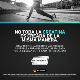 Flairfit Creatina Monohidratada Creapure En Polvo De Alta Pureza  100 Servicios  500g  Sabor Natural                                                  