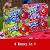 Kool Aid Jammers 240 Onzas Líquidas