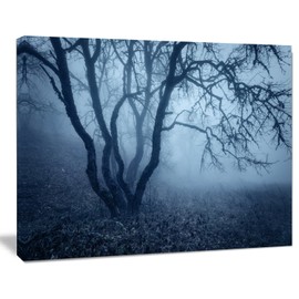 Tree in Foggy Dark Forest Landscape Photography Canvas Print