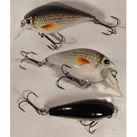 Behr Lure Trendex Natural Mini Fat Body, 5,5 cm, 8 g, White Fish