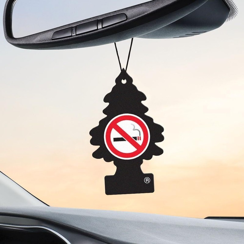 Little Trees Car Air Freshener 6-Pack (NO Smoking)