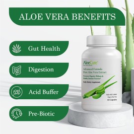 AloeCure AloeCure Organic Aloe Vera Capsules, 130,000mg Inner Aloe Leaf Equivelant per Serving, Support Gut, Digestive, & Immune Health, Helps Maintain Balanced Stomach Acidity, Aloin Free, 60Caps x 3Btl