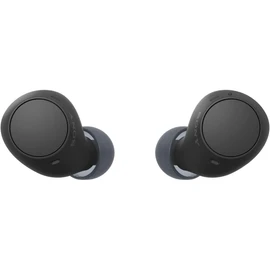 Sony WF-C510 Fully Wireless Earphones, Lightweight, Small 0.1 oz (4.6 g), High Precision Call Quality, External Sound Capture, Multi-Point Compatible, IPX4 Splashproof Performance, Black/WF-C510 BC
