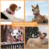 LIEVUIKEN 2 Pack Reflective Dog Collar with Safety Locking Buckle,