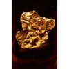 CafePress Gold Nugget Snowflake Ornament, 3.5"x3.5"