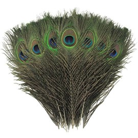 FFDHWU 25 Pieces Of Peacock Feathers, Home Decoration, Diy Handicraft Materials, Feather Decorations, Creative Decorations