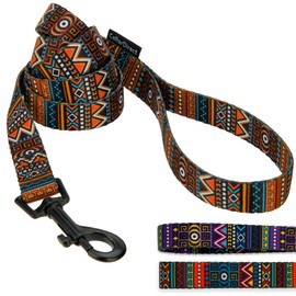 CollarDirect Aztec Dog Leash Nylon Tribal Pattern Cat Pet Leashes for Small Medium Large Dogs Puppy Lead 5 FT Long for Walking (Aztec Sunset, L, New)