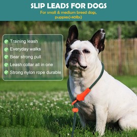 Durable Slip Lead, 5.9 FT Slip Leash, Comfortable Strong Rope Slip Leads for Dogs - Small Medium Dogs, No Pull Pet Training Leash Puppy Leash