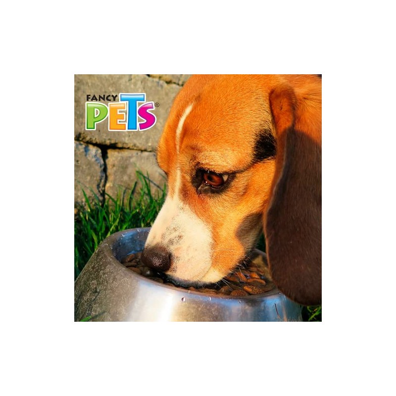 Fancy Pets Plato de Acero Inoxidable con Antiderrapante para Perro
