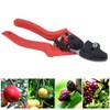 Agricultural Vegetables Fruits Pruning Shears Bonsai Pruner Picking Scissors Gardening