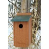 Woodlink NAGGBB Audubon Going Green Bluebird House