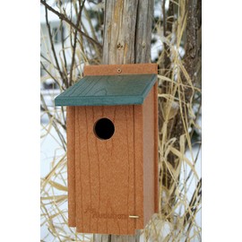 Woodlink NAGGBB Audubon Going Green Bluebird House