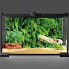 AWERT 60x24 inches Tropical Terrarium Background Tropical Plants Leaves Aquarium