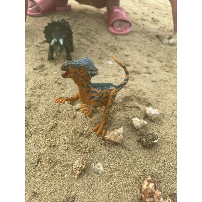 Kid Galaxy Amazing Detail PACHYCEPHALOSA