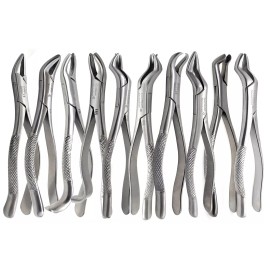 a2zscilab 10 PCS DENTAL EXTRACTION EXTRACTING FORCEPS  STAINLESS STEEL CE INSTRUMENTS