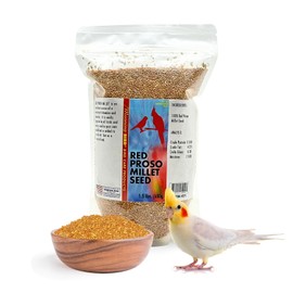Morning Bird Red Proso Millet Bird Seed Bag 1.5 lbs – Healthy & Nutritious Pet Bird Food is Ideal for Seed Eating Birds - Parakeets, Finches, Cockatiels