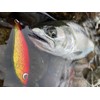Endo Craft Metal Lipless Lure, Jig Spoon, 0.4 oz (12