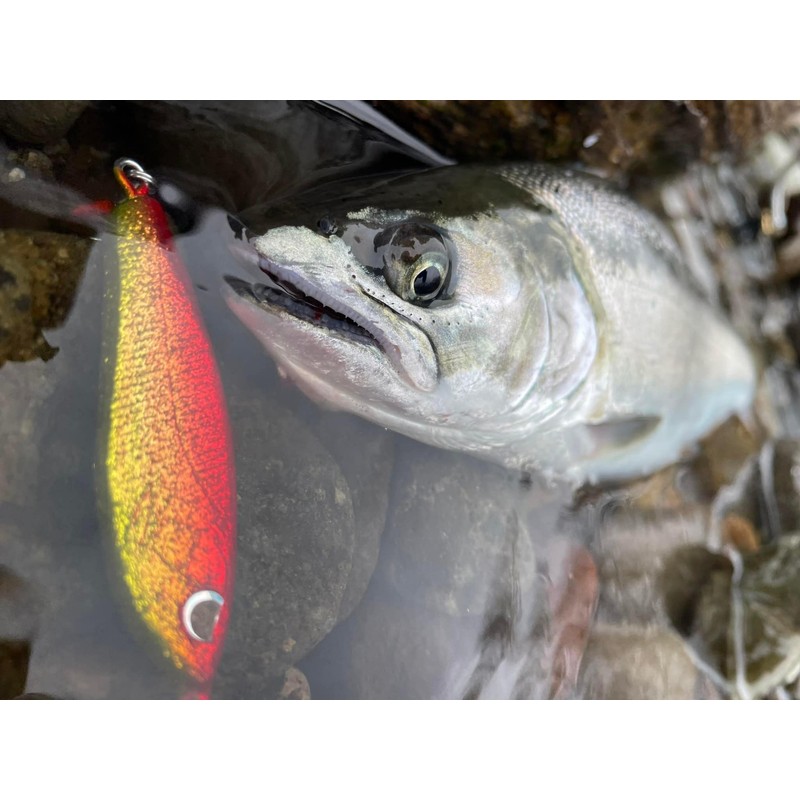 Endo Craft Metal Lipless Lure, Jig Spoon, 0.4 oz (12