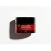 Buer Collagen Repair Cream Regenerative Elasticity Exosome / 뷰에르 콜라겐