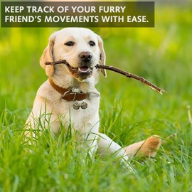 Luxiremi 3 pairs Loud Dog Cat Collar Bells for Collars Pet Tracker Bells Pets Collar Charm Pendant Bells Vintage Small Bell for Pets Pendant Key Rings for Dogs Cats Harness Training.