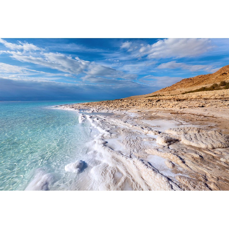 Ever Since 100% Pure Dead Sea Body & Face Mud