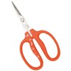 Closest Positive (chikamasa) Stainless Steel Grape Scissor B Care –